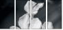 64479255