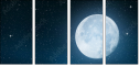 65260287