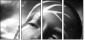 65561483