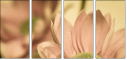 65771321