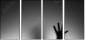 65905170