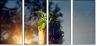 65958619