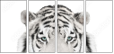67172414