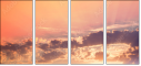 67822236