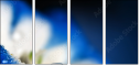 68169392