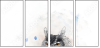 68366364