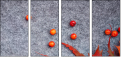 68721150
