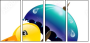 68778119
