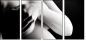 68806614