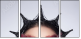 68880245