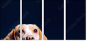 68940427