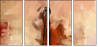 69563598