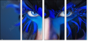 69641172