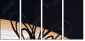 7023978