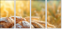 704903760
