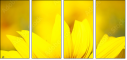 70553705