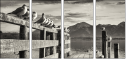 72072664