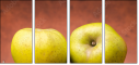 72103606