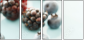 75558207