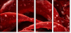 75798905