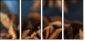 78130865