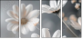 877089715