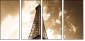 9077030
