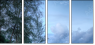 9994394