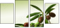 11107716