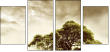 11108613