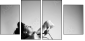 11330269