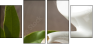 11542609
