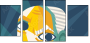 125602831