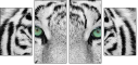 13468757