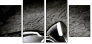 16438072
