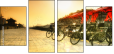 16482031