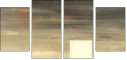 21155951