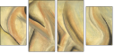 21450824