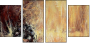 21581087