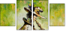 21588085