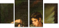 21653701