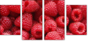 22816665