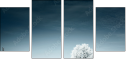 23439667
