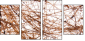 23639472