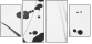 23695176