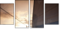 23896899