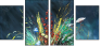 24170906
