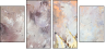 24599717