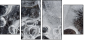 25109455
