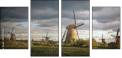 27403558